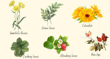 8 Herbs That Can Heal Your Gut