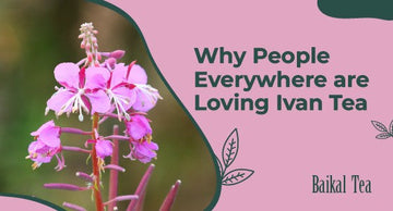 Why People Everywhere are Loving Ivan Tea