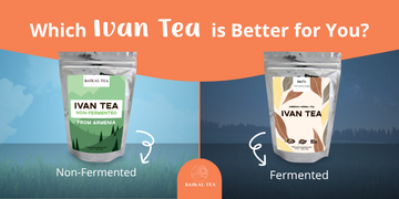 Fermented vs Non-Fermented Ivan Tea – What’s the Difference?