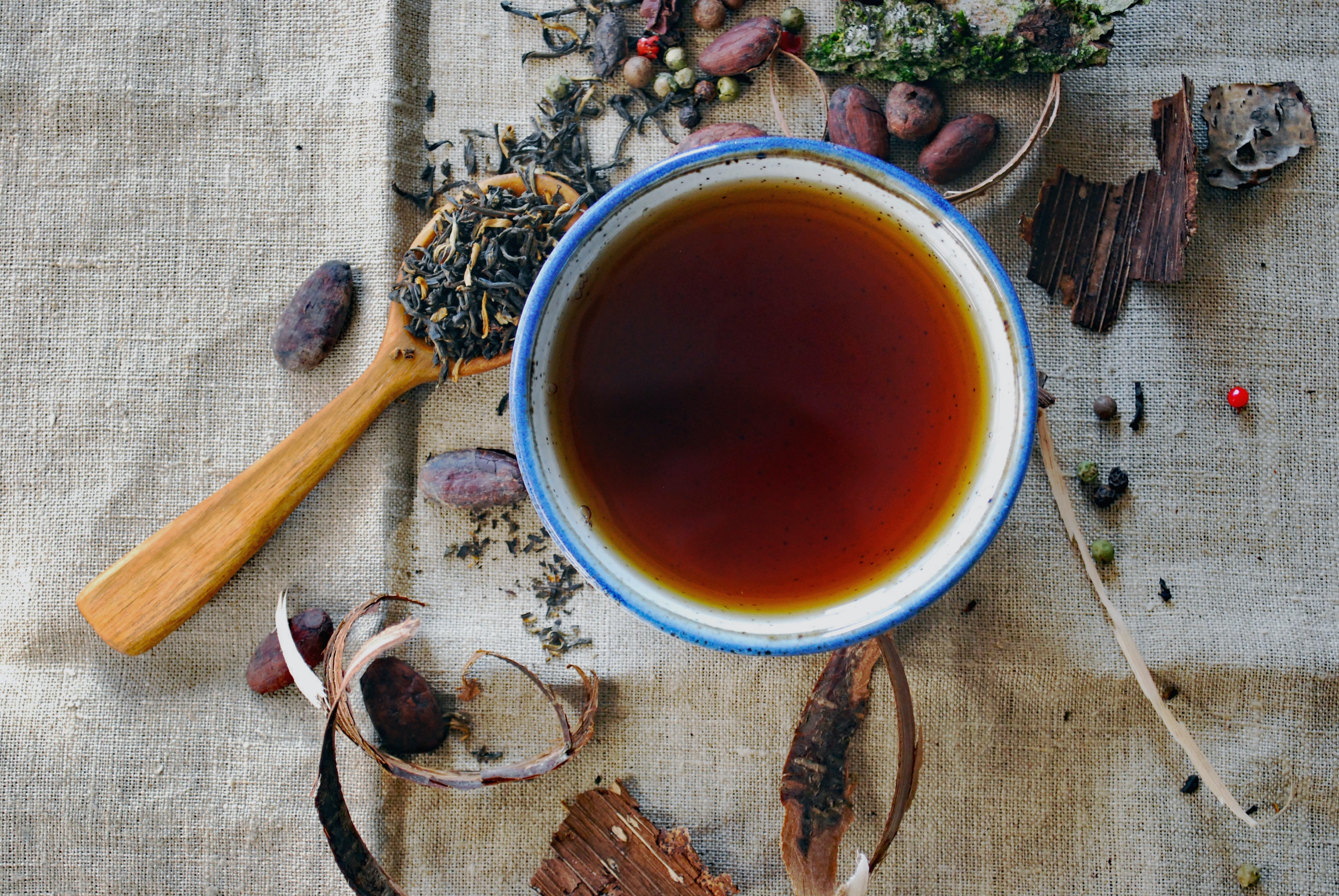 6 Benefits of Chaga Tea You Need to Know