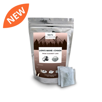Lions' Mane Chaga Tea
