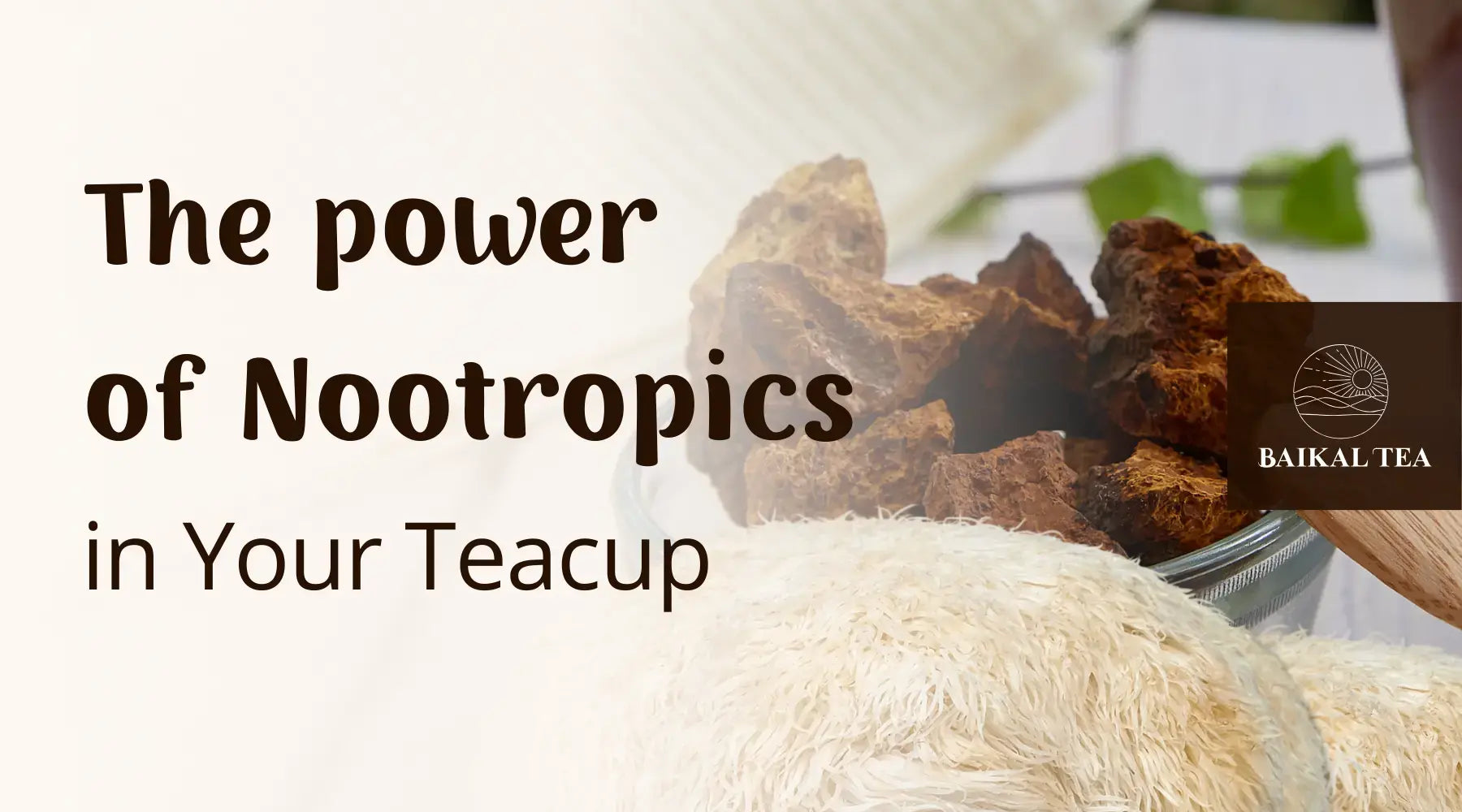 What are Nootropics? The Power of Nootropics Explained