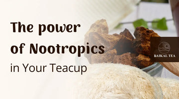 What are Nootropics? The Power of Nootropics Explained