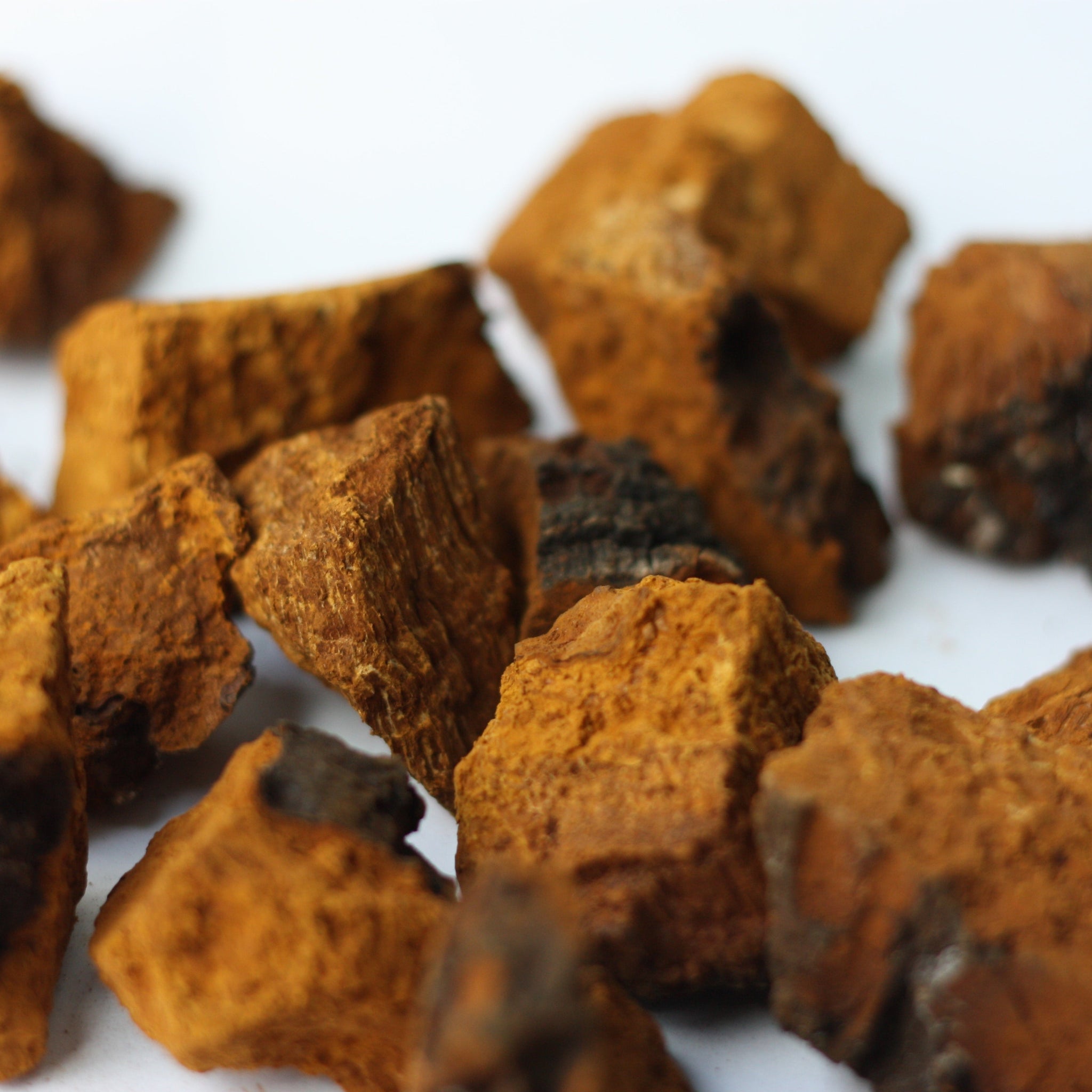 How to Prepare Chaga Tea (With Exclusive Recipes)