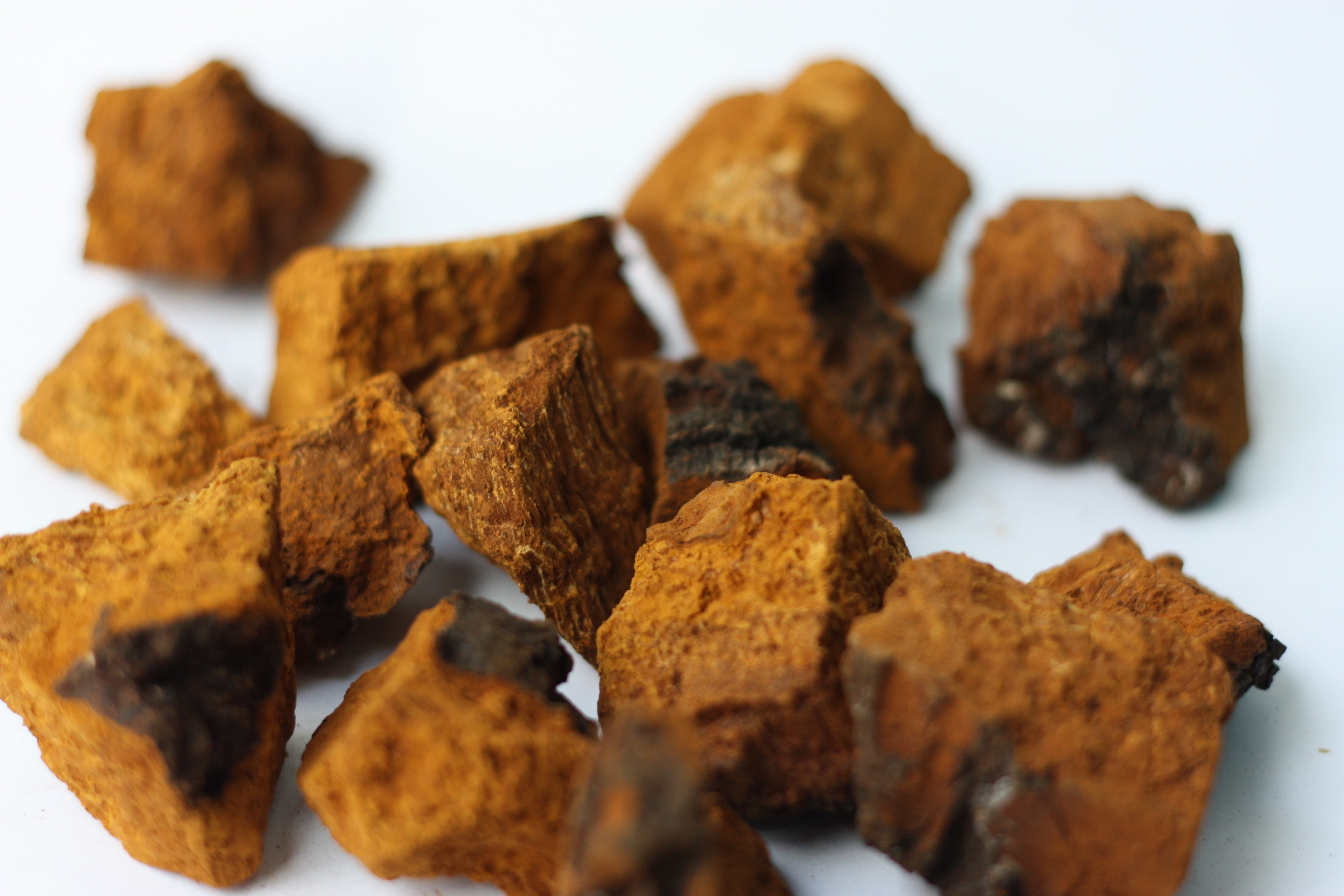How to Prepare Chaga Tea (With Exclusive Recipes)