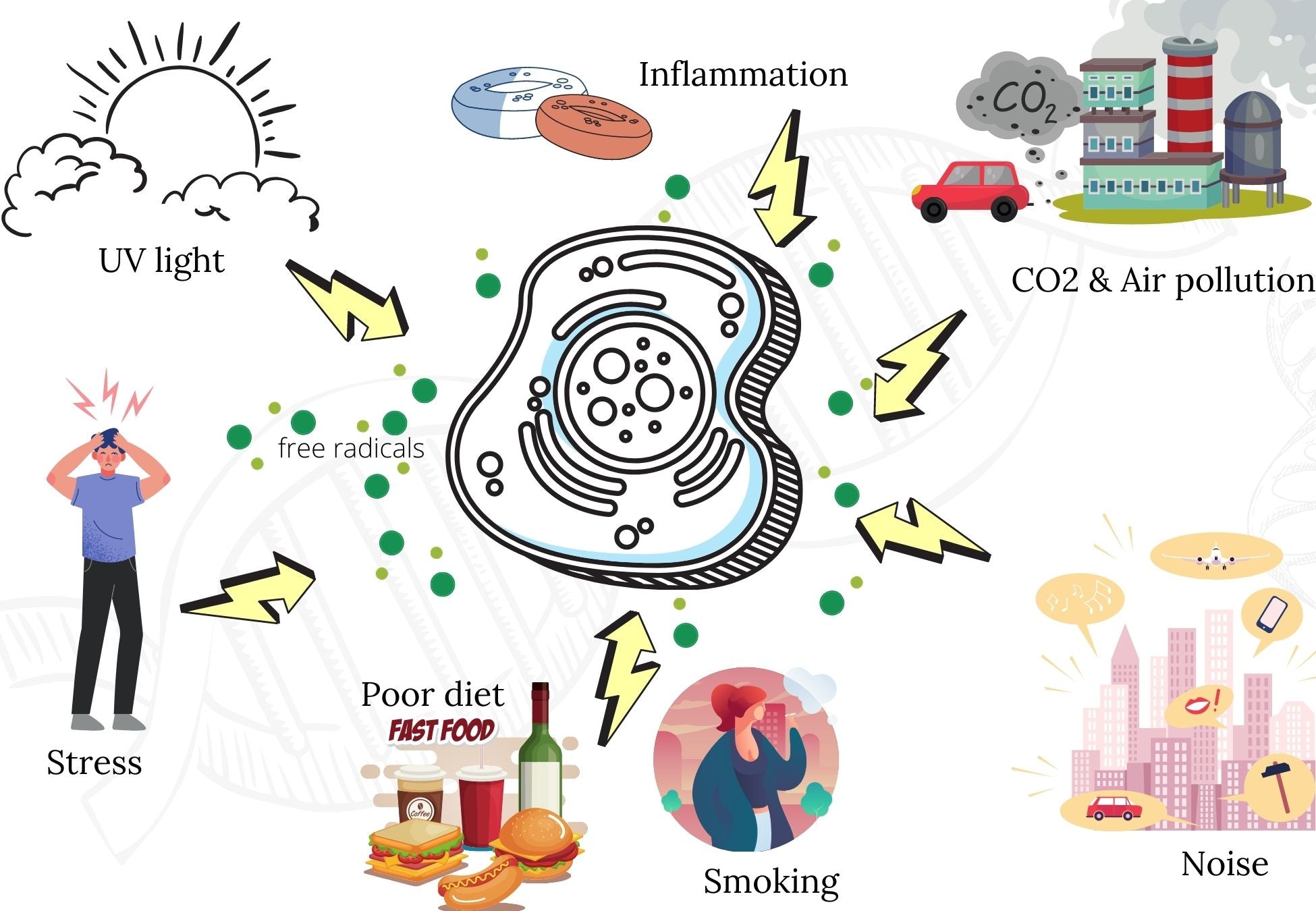 free radicals health problems