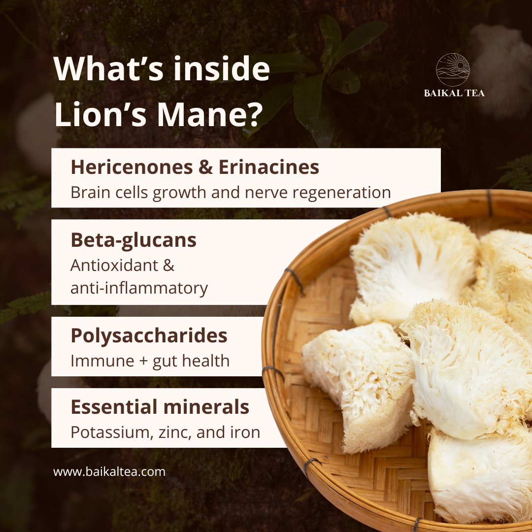Lions' Mane Chaga Tea