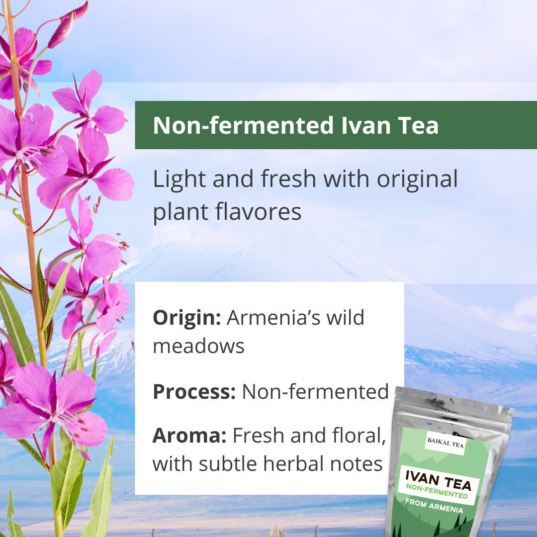 Ivan Tea Armenia