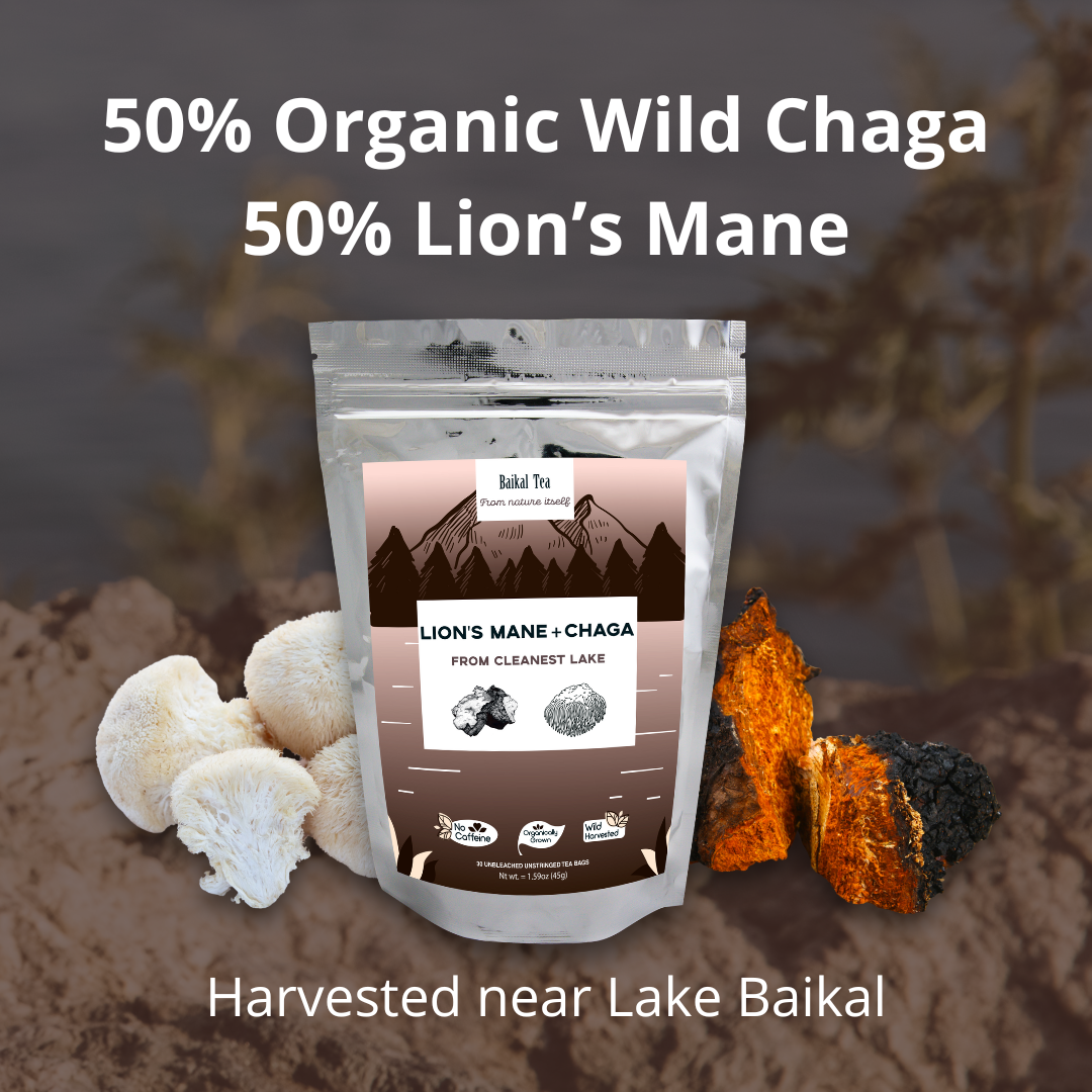 Lions' Mane Chaga Tea