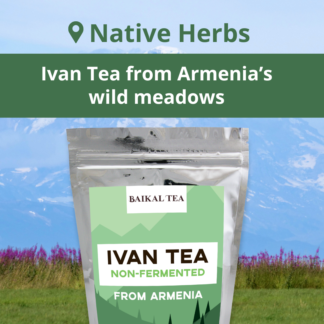 Ivan Tea Armenia
