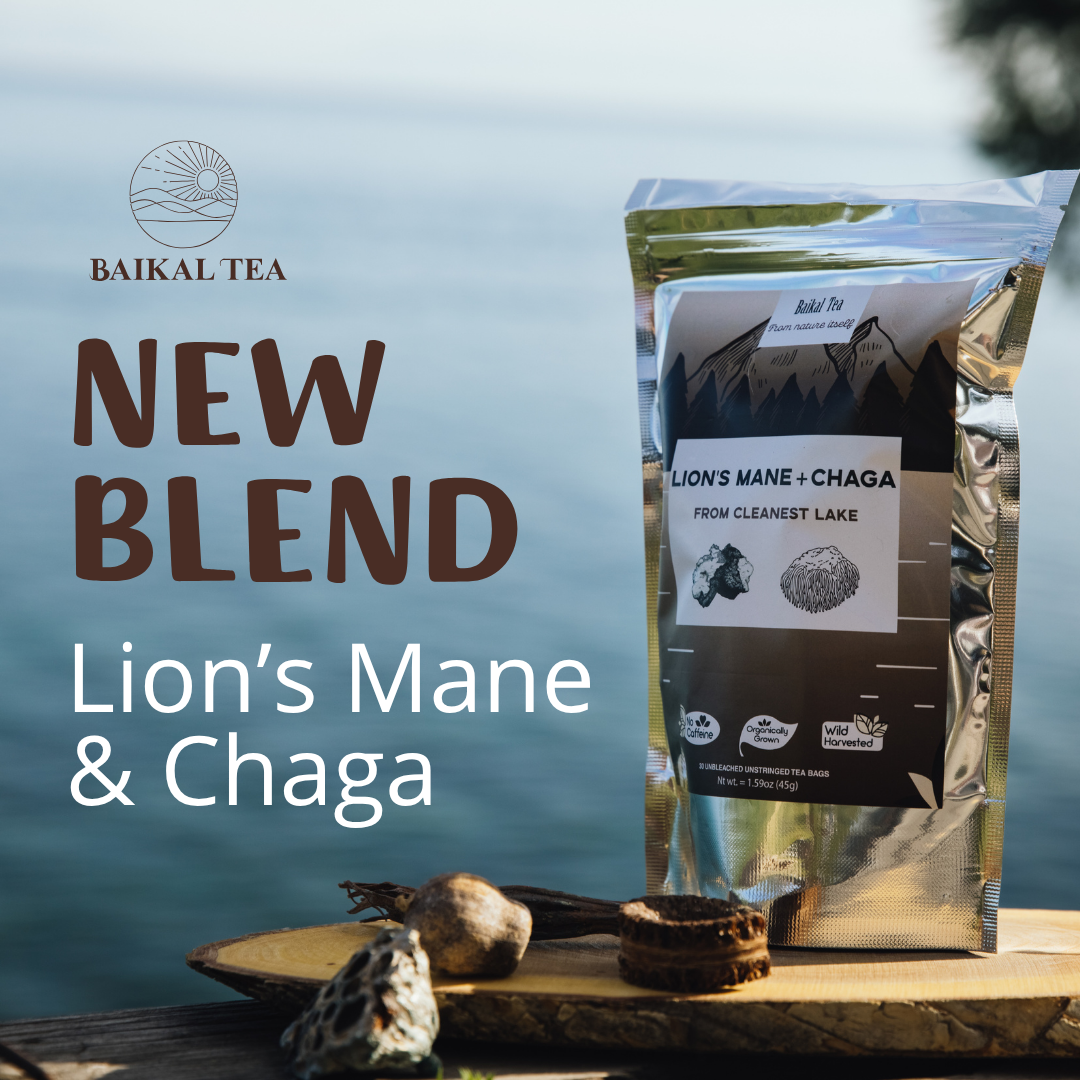 Lions' Mane Chaga Tea