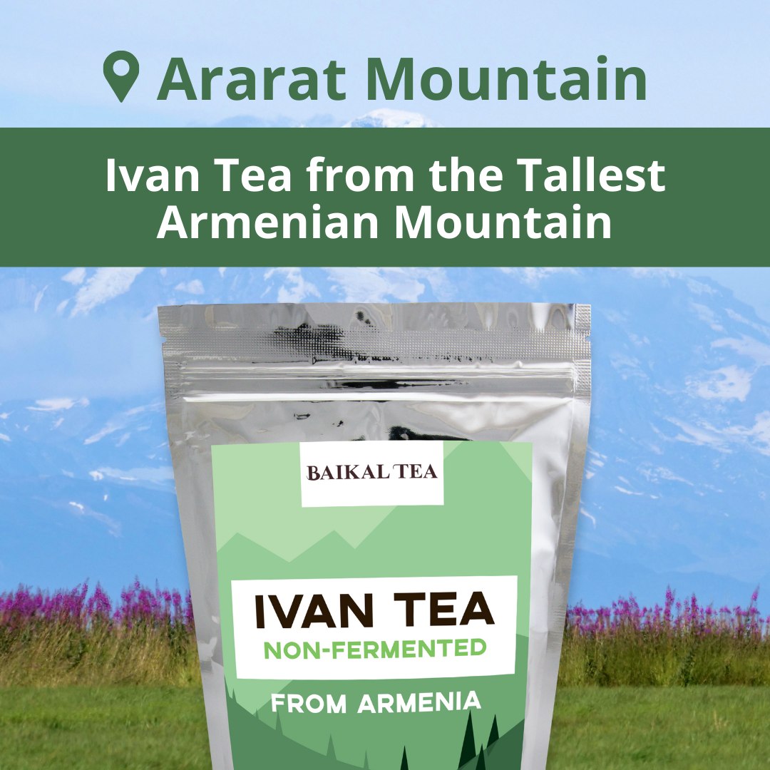 Ivan Tea Armenia