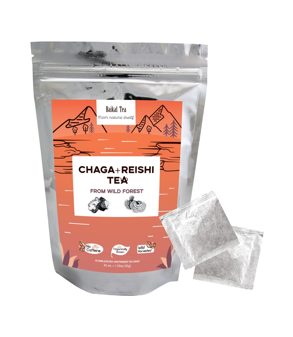 chaga reishi tea baikal tea