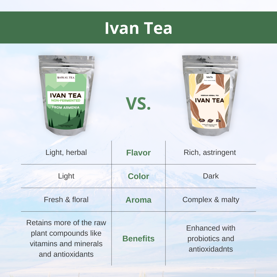 Ivan Tea Armenia