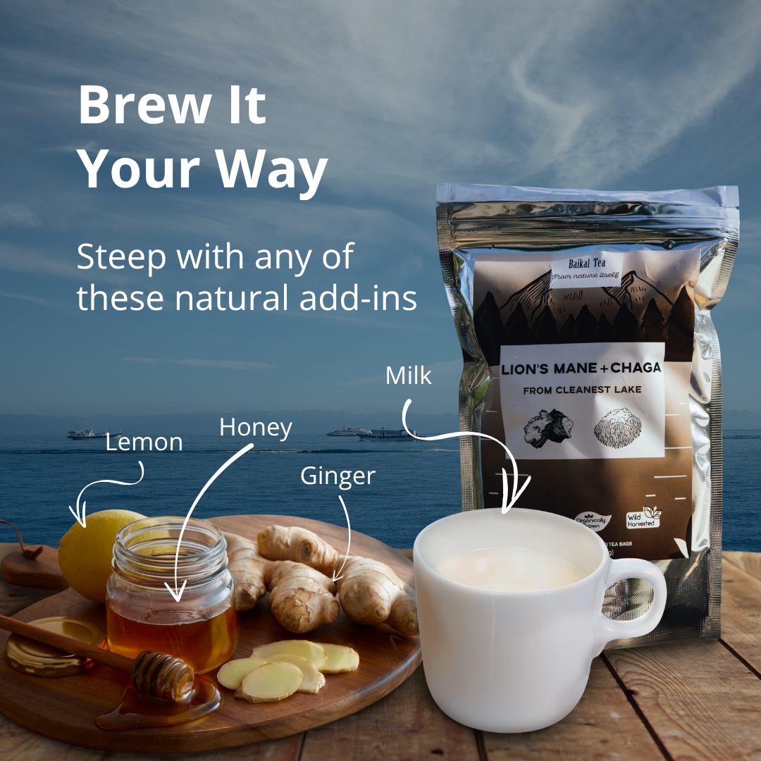Lions' Mane Chaga Tea
