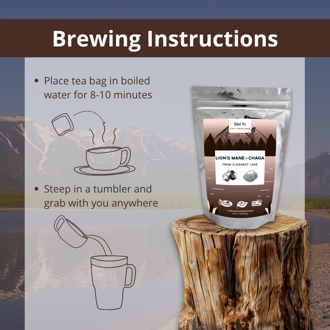 Lions' Mane Chaga Tea