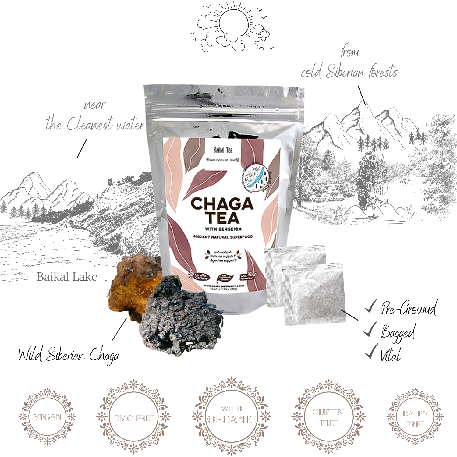 Chaga Tea with Bergenia