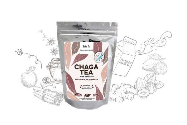 Chaga Tea with Bergenia